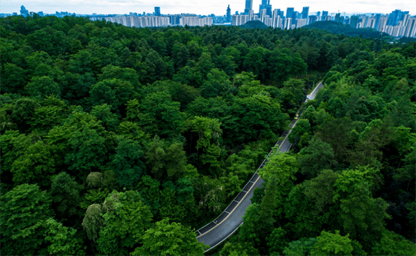 贵阳冷门景点有哪些(贵阳10个冷门好玩的旅游景点)