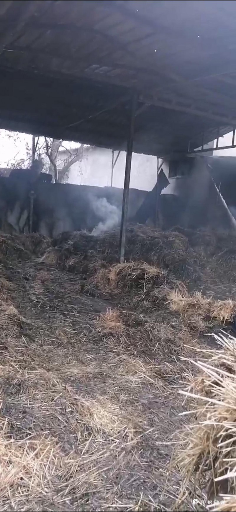 火场救人自家被烧(八旬老人被困火海邻居救人)