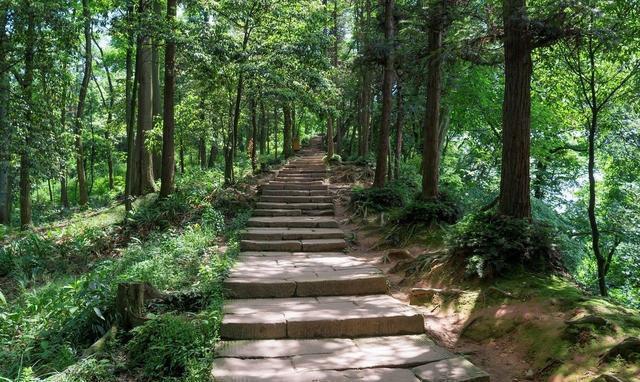 4、青城山国家森林公园