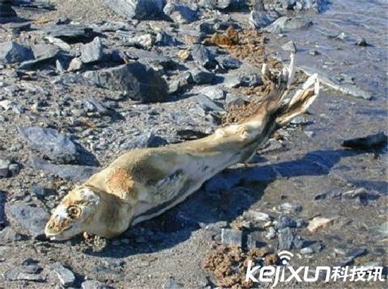 盘点地球11大生命禁区：死亡之地 活人望而却步