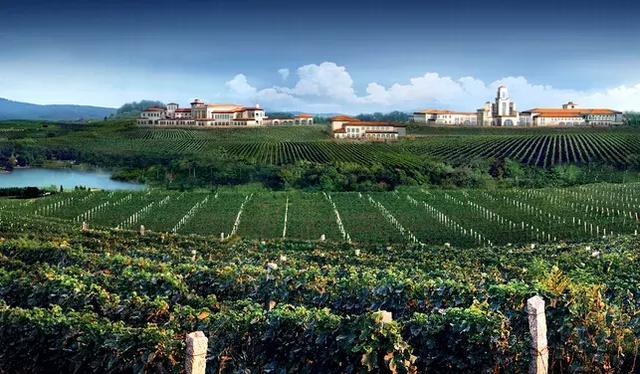 大连海边城堡介绍(除了西虹市的这个城堡)(11)