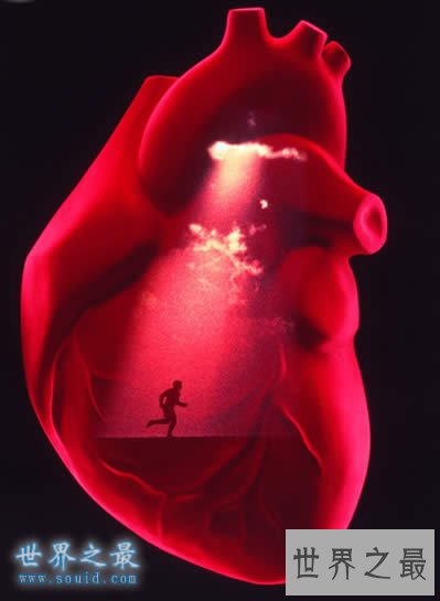 神奇的人体之最,人的血管可以绕地球两圈