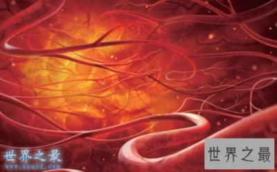 ​神奇的人体之最，人的血管可以绕地球两圈