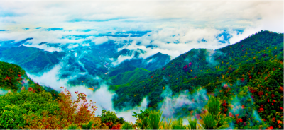 临安有哪些好玩的景点(国庆临安出游最美的秋色景点)