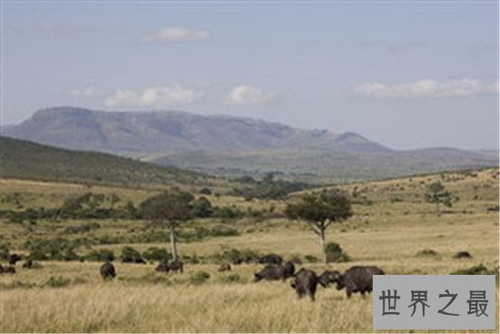 世界野生动物园排名,马迪迪国家公园超好看