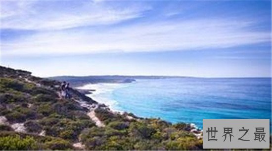 世界野生动物园排名,马迪迪国家公园超好看