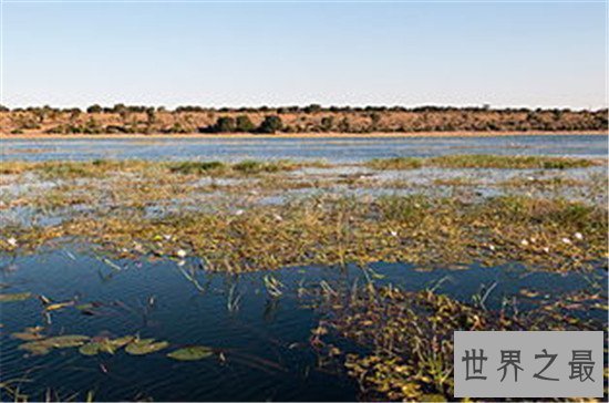 世界野生动物园排名,马迪迪国家公园超好看