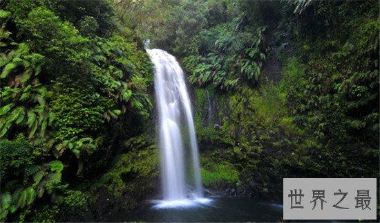 世界野生动物园排名,马迪迪国家公园超好看