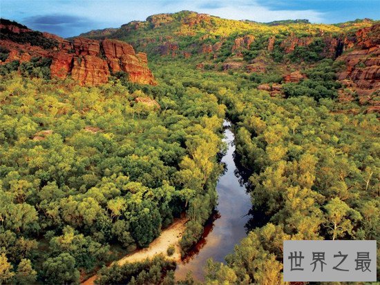 世界野生动物园排名,马迪迪国家公园超好看