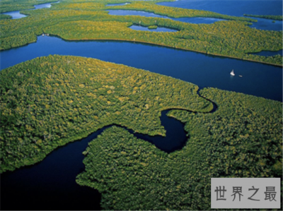 ​世界野生动物园排名，马迪迪国家公园超好看