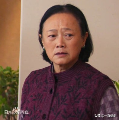 历史题材剧——《大秦帝国之纵横》