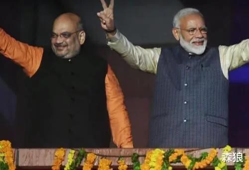 印度的蝗虫是从哪里飞过来(4000亿蝗虫被消灭了)(3)