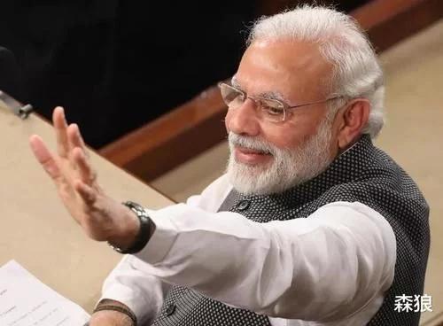 印度的蝗虫是从哪里飞过来(4000亿蝗虫被消灭了)(6)