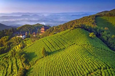 ​杭州余杭：国际茶界专家在径山共享千年禅茶文化