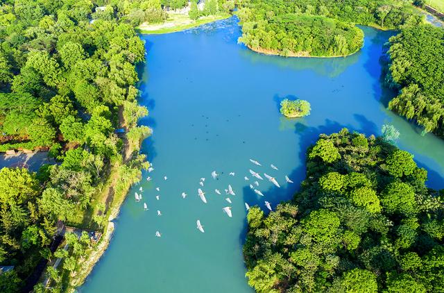 颍上县八里河风景区旅游攻略（迪沟湿地风光美如画）(2)