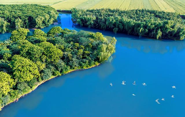 颍上县八里河风景区旅游攻略（迪沟湿地风光美如画）(3)