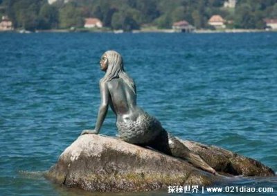 ​海牛为什么叫美人鱼，形似美女(被海上船员误认后得名)