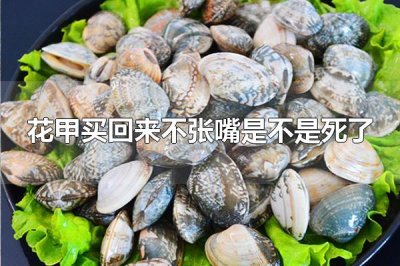 ​花甲买回来不张嘴是不是死了 花甲买回来不张嘴不一定是死了