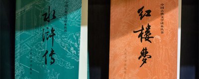 ​李逵的外貌描写 李逵的外貌描写原文