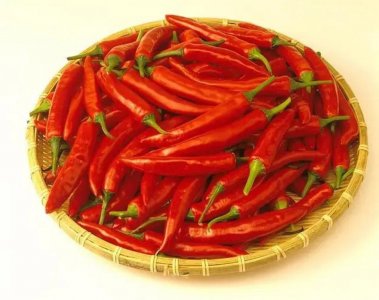 ​四季饮食养生知识 一年四季的饮食与健康