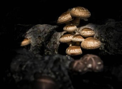 ​祝贺！我国再添一项全球重要农业文化遗产