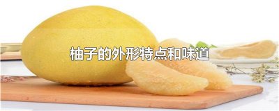 柚子的外形特点和味道