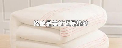 棉胎是盖的还是垫的