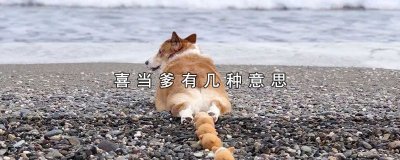 ​喜当爹有几种意思