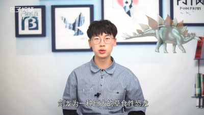 ​剑龙是食草还是食肉