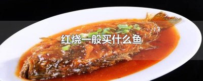 ​红烧一般买什么鱼