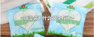 ​吸湿袋为什么很快有水