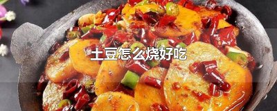 ​土豆怎么烧好吃