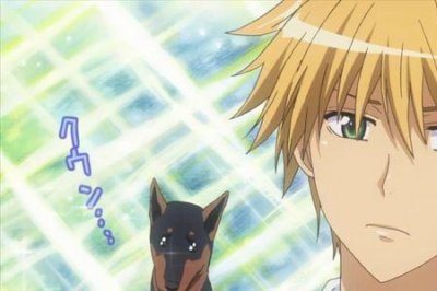 ​碓冰拓海大结局