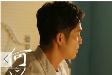 失落真心国语30集大结局