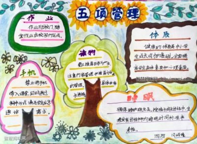 ​五项管理是哪五项措施