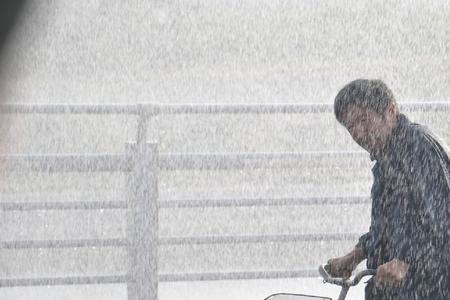 人活一张脸贾宝军扮演者