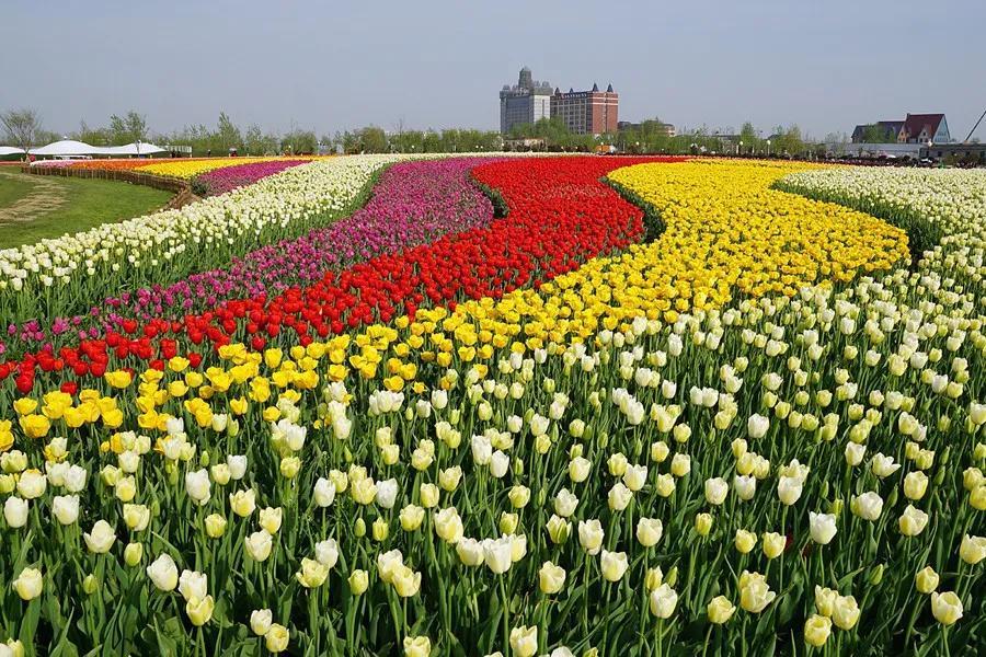 兴化是在哪个省_地理位置