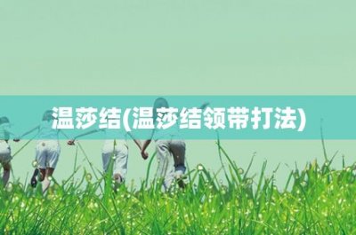 ​温莎结(温莎结领带打法)