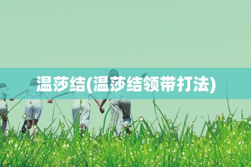 温莎结(温莎结领带打法)