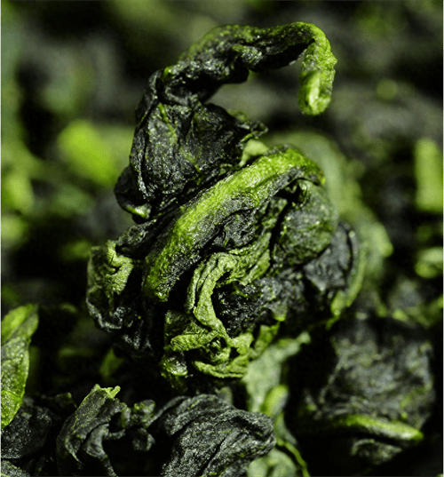 铁观音清香型和浓香型的区别(铁观音哪种香型好)