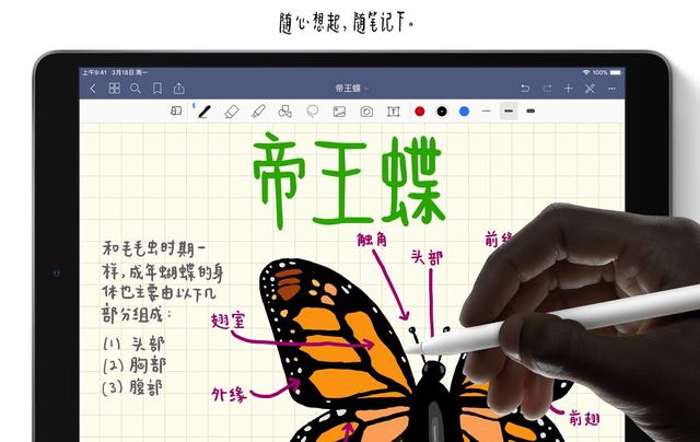 父亲节送给父亲什么礼物合适(推荐几款适合送给父亲的礼物)(11)