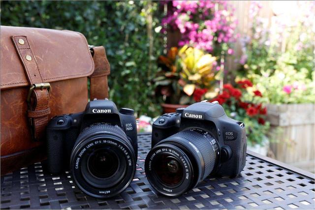 父亲节送给父亲什么礼物合适(推荐几款适合送给父亲的礼物)(4)