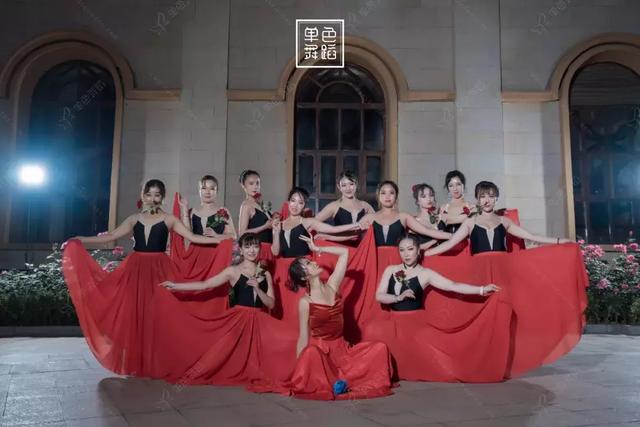 西班牙弗拉门戈舞蹈（各个舞者美成了维纳斯）(2)