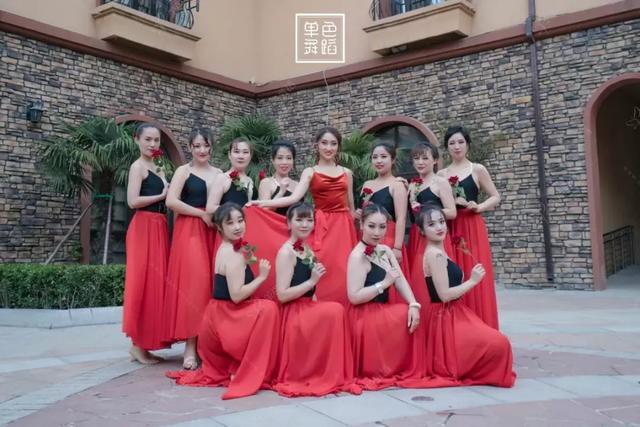 西班牙弗拉门戈舞蹈（各个舞者美成了维纳斯）(7)