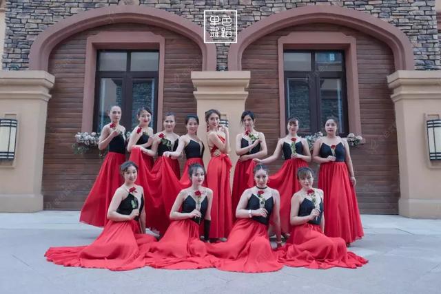 西班牙弗拉门戈舞蹈（各个舞者美成了维纳斯）(1)