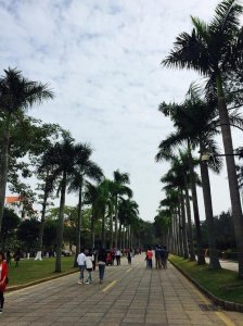 ​厦门两日游线路攻略