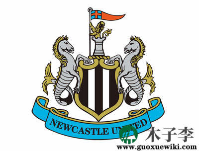 国王队厉害吗(国王队主力阵容)插图