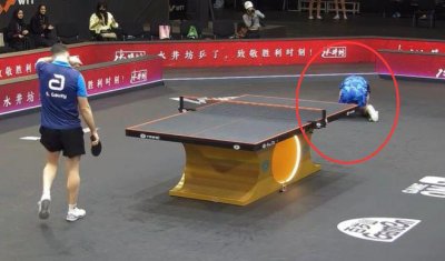 ​超级大逆转！张本智和0-2落后，3-2翻盘绝杀，激动跪地掩面庆祝