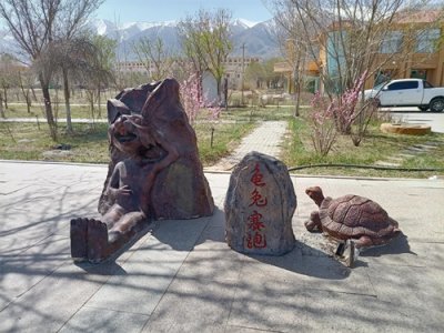 ​龟兔赛跑的思考和启示