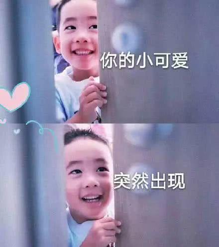 一波搞笑Jasper表情包,小小春萌化我了!